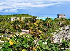 Belize Tourism Board