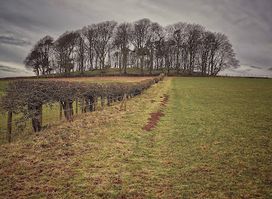 Wardlaw Hillfort