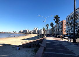 De los Pocitos Beach