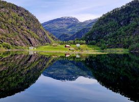 Rødne Fjord Cruise