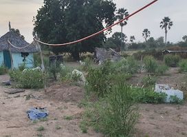 Reforest The Future Gambia
