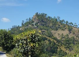 Himalaya view point palari china ( हिमालय का दृश्य पालड़ी छीना से)