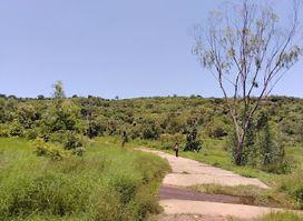 Mali National Park.