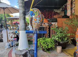 Huichol land Playa del Carmen
