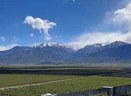 Mi viaje a Mendoza