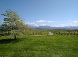 Jimmy’s Classic Marlborough wine tours
