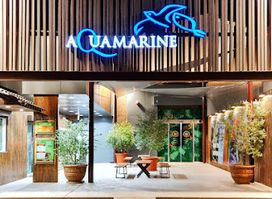 Aquamarine Trading Company - Aqua Kids Safari Adventure