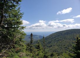 Indian Head Wilderness