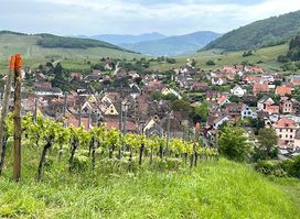 Ophorus Day Trips & Wine Tours in Alsace