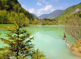 Radovna Valley