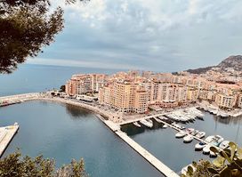 Port of Fontvieille viewpoint