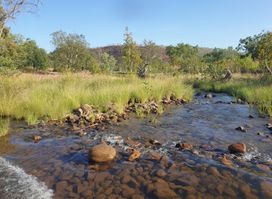 Zebedee Springs