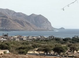Campo De Concentração