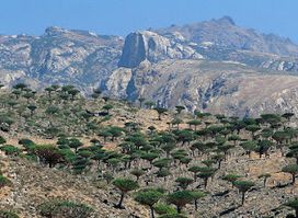 Hajhir Mountains
