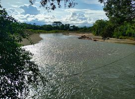 WASIYAKU CASA RIO