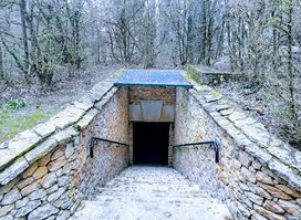 Lascaux II