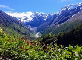 Go Himalayas
