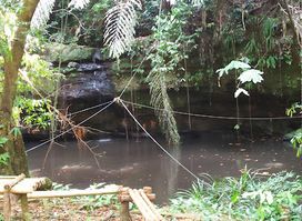 Wasai Bedanu