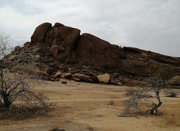 namibia/skeleton-coast/landmark/bull-s-party