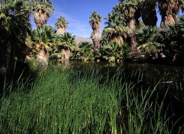 california/palm-desert/landmark/coachella-valley-preserve-thousand-palms-oasis-preserve