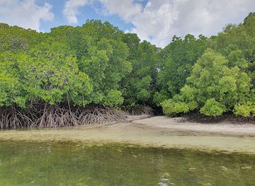 kenya/tsavo-national-park/landmark/watamu-marine-national-park-reserve