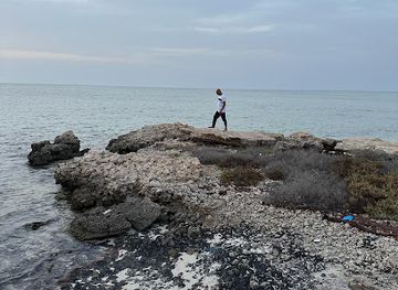 qatar/al-jassasiya-rock-carvings/landmark/lost-rock