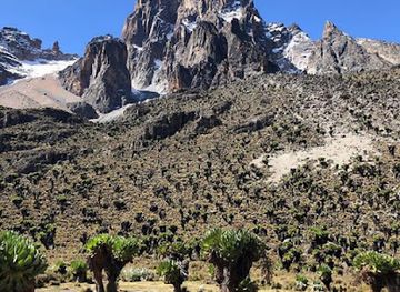 kenya/mount-kenya-region/landmark/mount-kenya-national-park