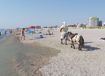 romania/constanta-mamaia/landmark/kudos-beach