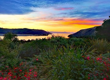 new-zealand/otago/landmark/the-opera-otago-peninsula-eco-restoration-alliance