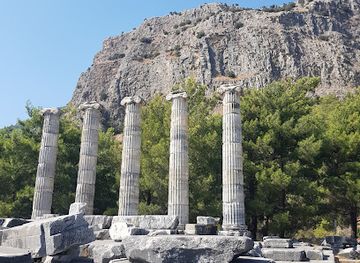 turkiye/ionia/landmark/priene-temple-of-athena