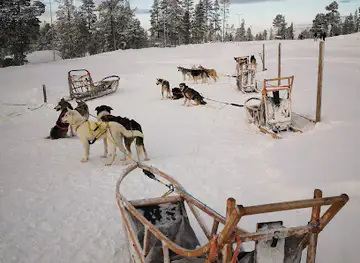 Adventure Dreams dogsled