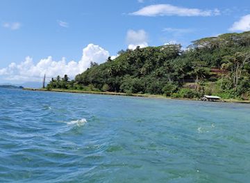 french-polynesia/taha-a/landmark/la-vallee-de-la-vanille