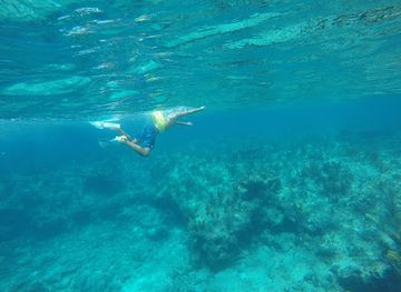 turks-and-caicos-islands/pine-cay/landmark/leeward-reef-major-coral-reef