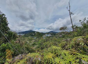 malaysia/cameron-highlands/landmark/jungle-trail-5