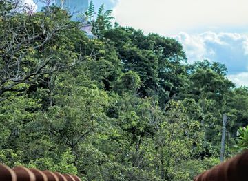 thailand/northeastern-thailand-isan/landmark/phanom-sawai-forest-park