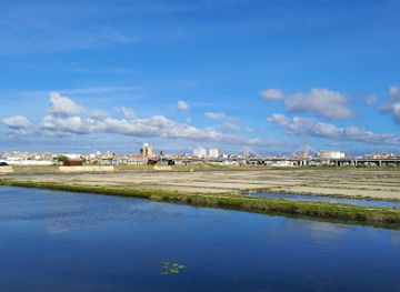 portugal/aveiro/landmark/aveiro-salt-flats