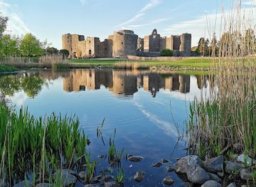 ireland/county-roscommon/landmark/loughnaneane-park