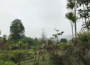sao-tome-and-principe/sao-tome-city/landmark/jardim-botanico-do-bom-sucesso