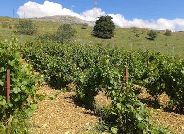 lebanon/bekaa/landmark/chateau-heritage