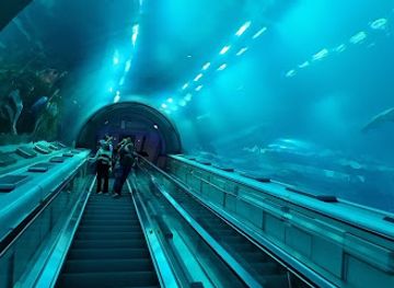 united-arab-emirates/abu-dhabi-region/landmark/seaworld-abu-dhabi