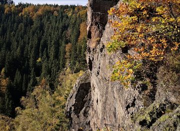 germany/ore-mountains/landmark/schwarzwassertal