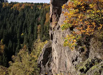 Schwarzwassertal