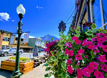 Crested Butte Depot