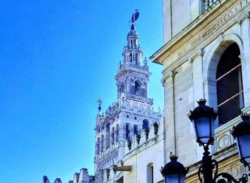 spain/seville/landmark/palacio-de-las-duenas