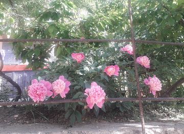 uzbekistan/namangan-region/landmark/bahrom-oilaviydam-olish-maskani