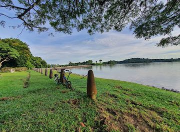 singapore/labrador-nature-reserve/landmark/upper-peirce-reservoir-park