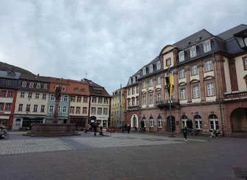 germany/heidelberg/altstadt/landmark/heidelberger-marktplatz