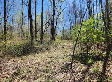 kentucky/henderson/landmark/green-river-state-forest