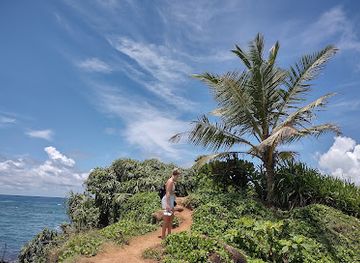 sri-lanka/mirissa/landmark/parrot-rock
