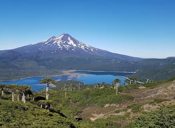 chile/araucania-region/landmark/sendero-sierra-nevada